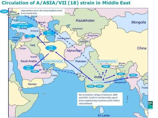 Circulation of A/ASIA/VII (18) strain in Middle East [Nicolas DENORMANDIE/MERIAL] The strain named A/Asia/G-VII (18) should be read: Serotype A / Topotype (therefore geographical) Asia / Genotype