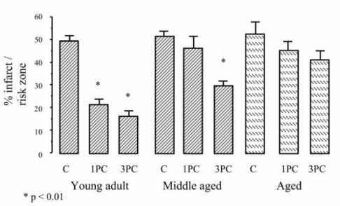 Effect of one 5-min preconditioning cycle (1PC) and three 5-min preconditioning cycles (3PC) on