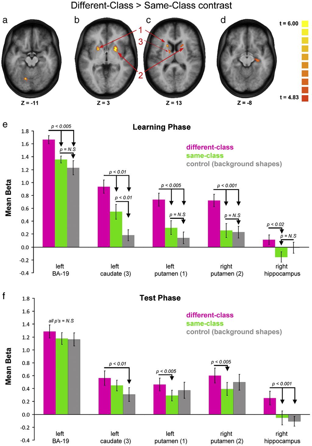 R. Hammer et al. / NeuroImage 52 (2010) 699 709 705 Fig. 4. The neural correlate of learning from different-class indications.
