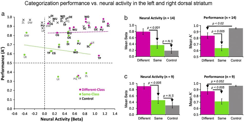 706 R. Hammer et al. / NeuroImage 52 (2010) 699 709 Fig. 5. Behavioral performances vs. neural correlate (learning from different-class indications condition) in the left and right dorsal striatum.
