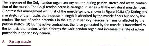 Chapter 6.2 motor function of CNS 622the 6.