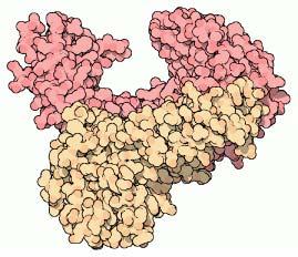How to make an AZT resistant virus Reverse transcriptase Thought experiment Change enzyme so