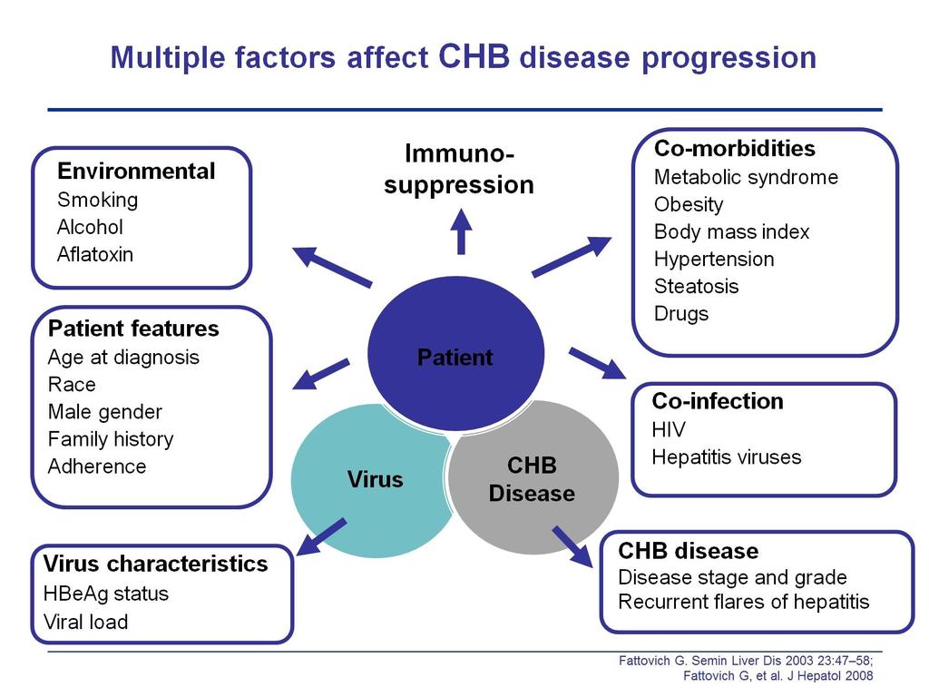 Many factors affect CHB disease progression
