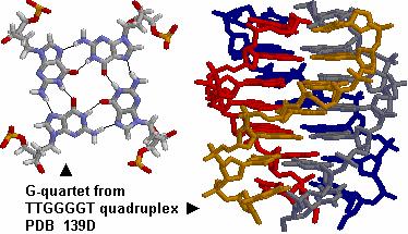 Small-molecule molecule ligands for the human telomeric DNA quadruplex IC50 (µm)( Quadruplex:duplex selectivity