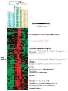 Next Generation Immunohistochemistry Gene Expression Profiling Comparing Urothelial,