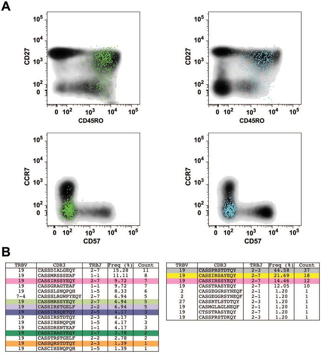 Figure 6. Phenotypic and clonotypic properties of M1-specific CD8 + T cells elicited by MVA-NP+M1.