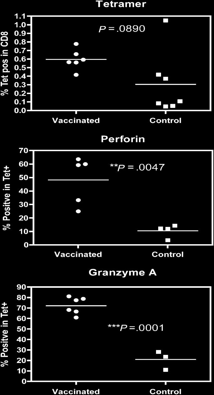 Figure 2. Responses to M1 58 66 in human leukocyte antigen A2 positive volunteers.