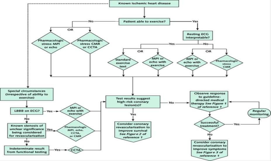 Risk assessment of patients with stable ischemic heart disease.