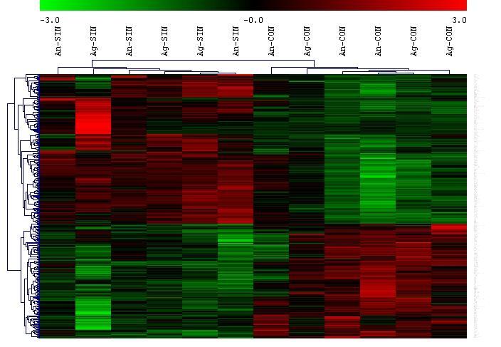 High progesterone levels significantly alter endometrial gene expression A large number of significantly differentially expressed probe sets between groups B and C A.9 ng/ml 28 A + B B 1 1.