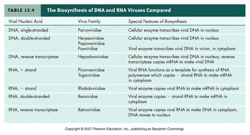 Types of RNA Viruses The genetic material of RNA viruses comes in 3 basic forms: double-stranded RNA + strand RNA (single coding or sense strand) -
