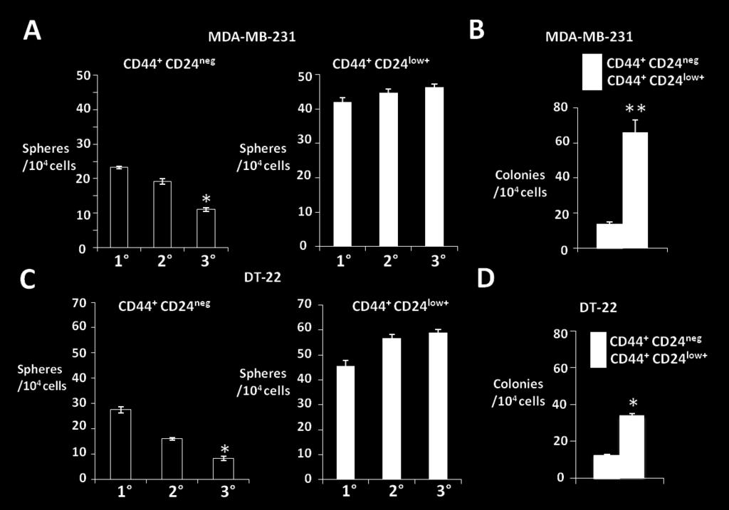 4). Figure 3.3: Enhanced self-renewal potential of CD44 + CD24 low+ than CD44+CD24 neg.