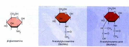 If Denature Secondary Structure an FRE polymer to stay ydrated Sugar