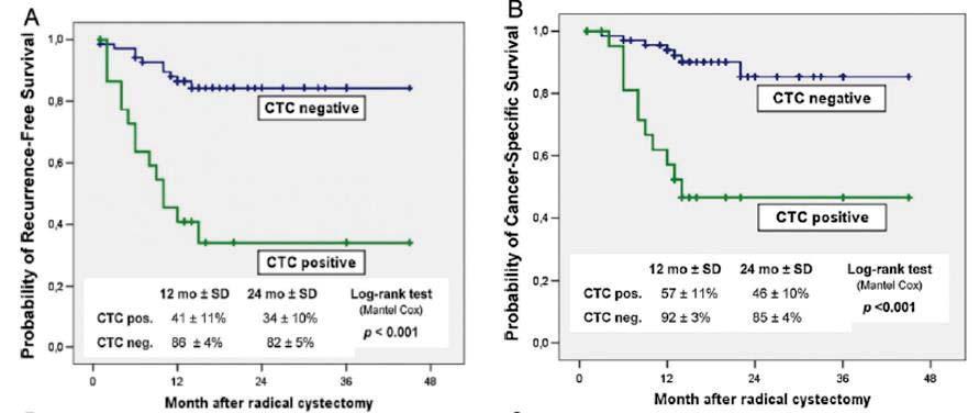 PROGNOSTIC VALUE OF CTC IN URINARY BLADDER CANCER Survival outcomes: Independent prognostic factor - Median follow-up: 18 months DFS HR: 4.6 CSS HR: 5.2 Reprinted from Eur Urol 61(4), Rink M, et al.