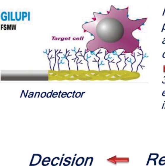 Image courtesy of GILUPI Nanomedizin GmbH. Available at: http://www.