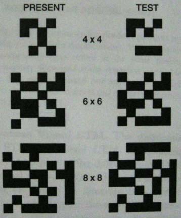 Meaningless patterns William Philips in1975 Show meaningless grid of random