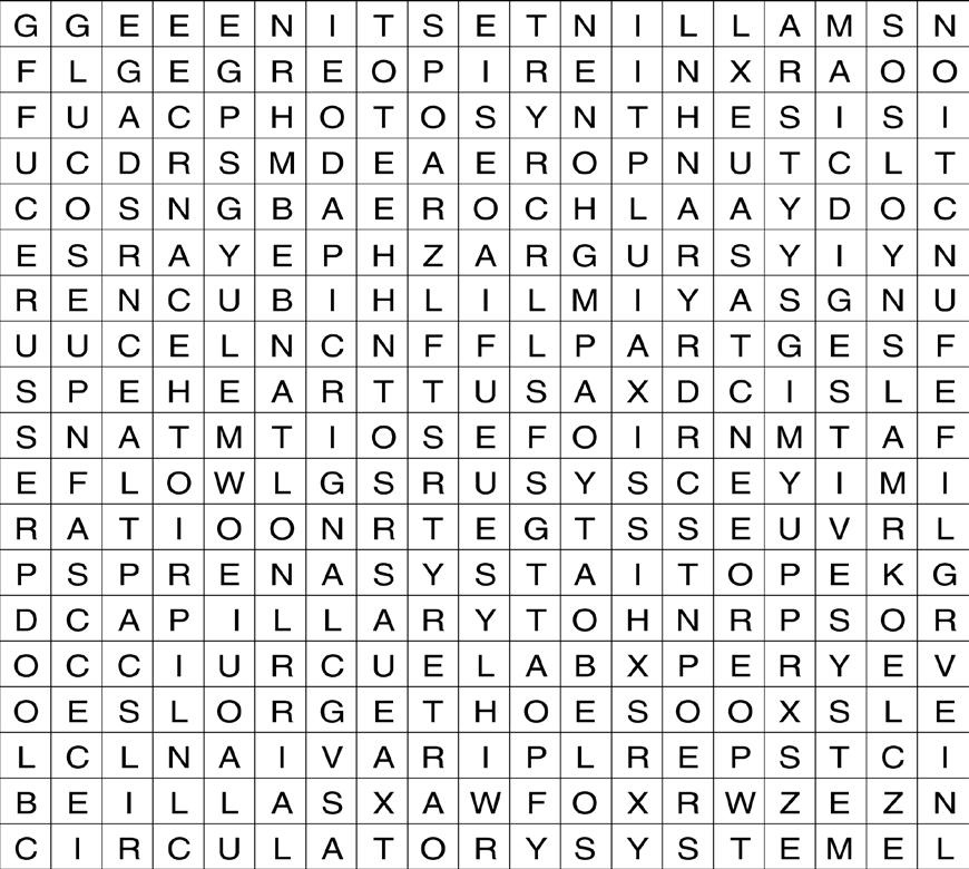 Word Search BLM 9-15 Complete the word search puzzle by finding the terms listed below. Circle the words as you find them.