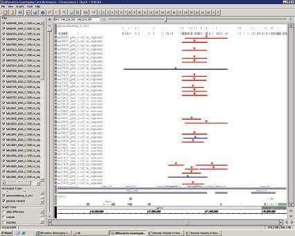 Figure 4: Intermarker distance (log 10 ) across two commercially available platforms. Figure 5a shows a polymorphic CNV on chromosome 1 that has been finely mapped by the SNP Array 6.0. The region is shown in Genotyping Console Software alongside a corresponding genomic variant loci from the Database of Genomic Variants.