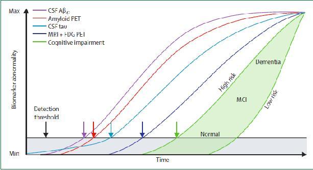 Dynamic biomarker trajectory in AD -2010 From Jack et al.
