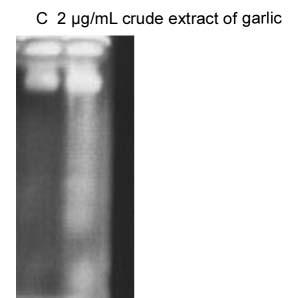 Su et al: Crude Extract of Garlic Induces Apoptosis of Colo 205 Cells Figure 1. Percentage of the viable colo 205 cells after CGE treatment.