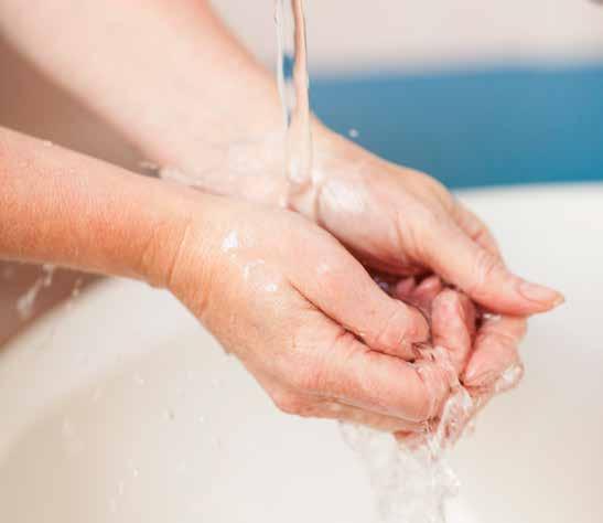 Hand hygiene information for