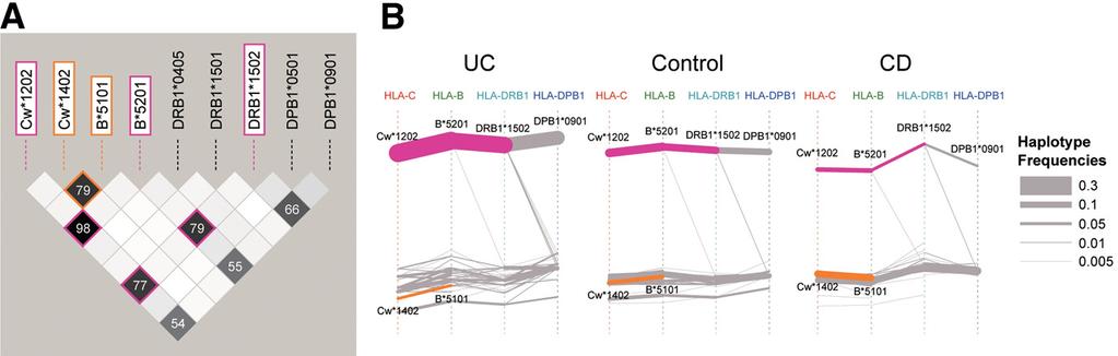 September 2011 HLA-Cw*1202-B*5201-DRB1*1502 HAPLOTYPE 869 Figure 2. LD map and haplotype structure of HLA alleles.