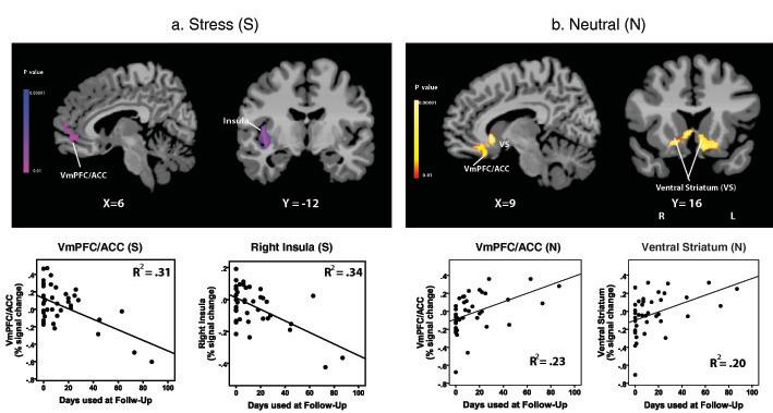 Neural Correlates of Days of