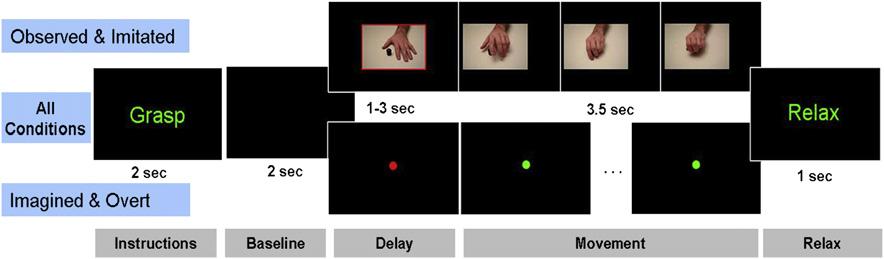 Neural Interface Technology for Rehabilitation 165 modulate their cortical activity to operate a BCI system.
