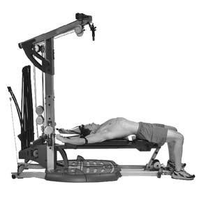 34 Back Exercises Latissimus Dorsi; Teres Major; Rear Deltoids Flat Bench Forward Lying Lat Pulldowns Keep knees bent and feet flat on floor. Lean head back against the bench.