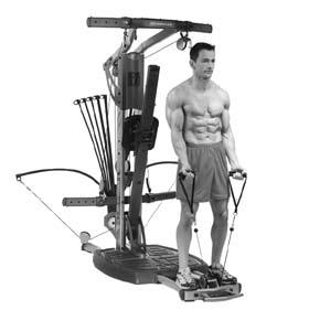 42 Arm Exercises Standing Biceps Curl (with Pulleys) Elbow Flexion (in supination) Biceps; Brachialis; Brachioradialis Folded Squat Platform Keep your elbows from moving forward and backward.