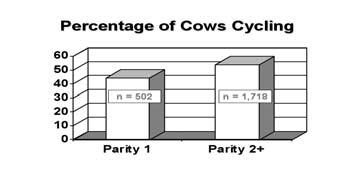Figure 2. Effect of Parity on Percentage of Cows Cycling. Figure 3.