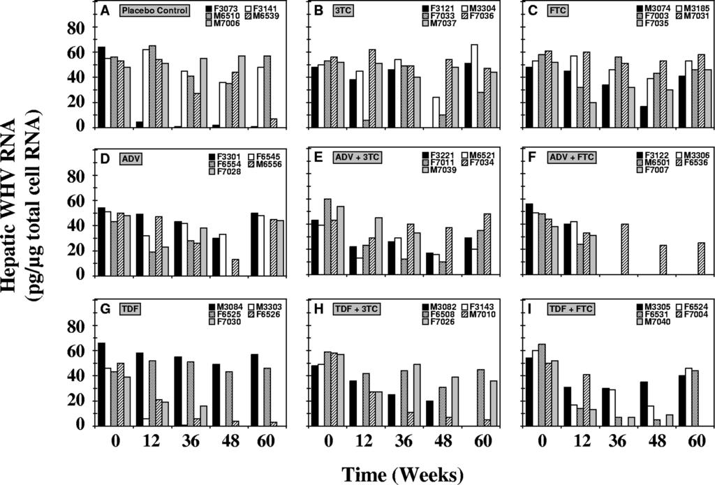 VOL. 52, 2008 3TC, FTC, ADV, AND TDF IN CHRONIC WHV INFECTION 3625 FIG. 5. Antiviral effects of oral 3TC, FTC, ADV, and TDF administration alone and in combination on hepatic WHV RNA levels in chronic WHV carrier woodchucks.