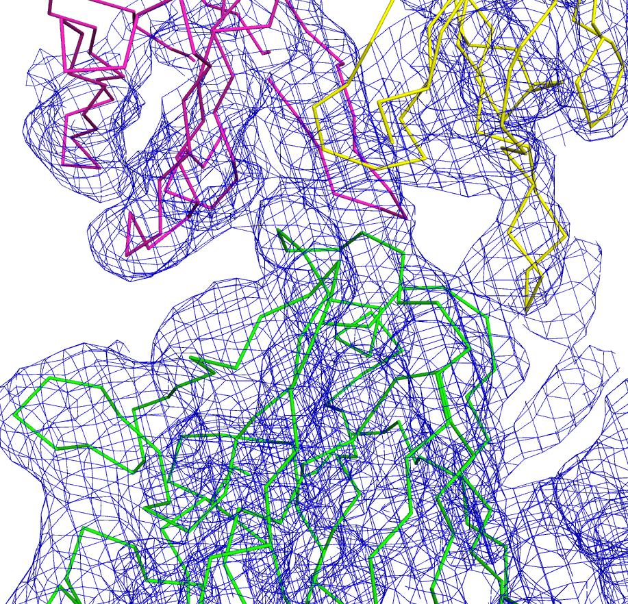 Figure S1. Representative electron density at the H7.167 Fab-Sh2/H7 complex interface. The H7.