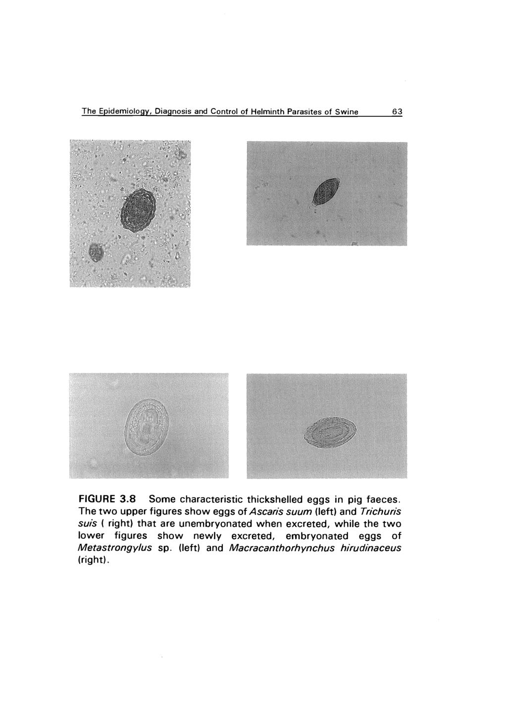 The Epidemiology, Diagnosis and Control of Helminth Parasites of Swine 63 FIGURE 3.8 Some characteristic thickshelled eggs in pig faeces.