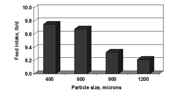 Corn Particle Size for Sows Linear P = 0.04 J.