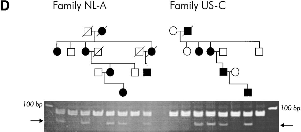 reading frame of CACNL1A4 in two consisted of DNA mixture of three unrelated individuals, (C) mutation unrelated EA-2 patients provides strong evidence that V714A in family UK-B leads to additional