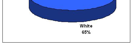 American/Black 20% Caucasian/White