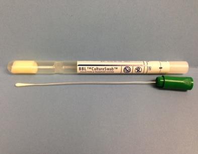 BD BBL Wire Shaft Culture Swab (Green Cap) Routine bacterial