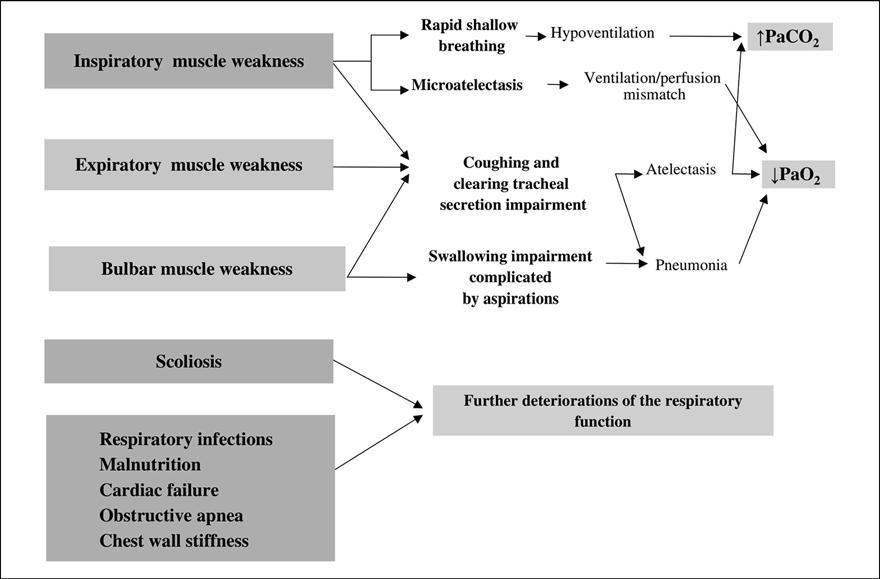 Figure 1. Respiratory issues in patients with neuromuscular diseases.