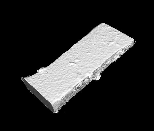 Mechanical Properties of a Single Cancellous Bone 351 Cancellous bone Z-axis Cortical bone X-axis 100mm Y-axis Y-axis Trabecula 1mm