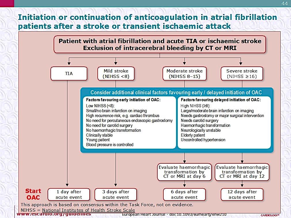 Anticoagulation in AF