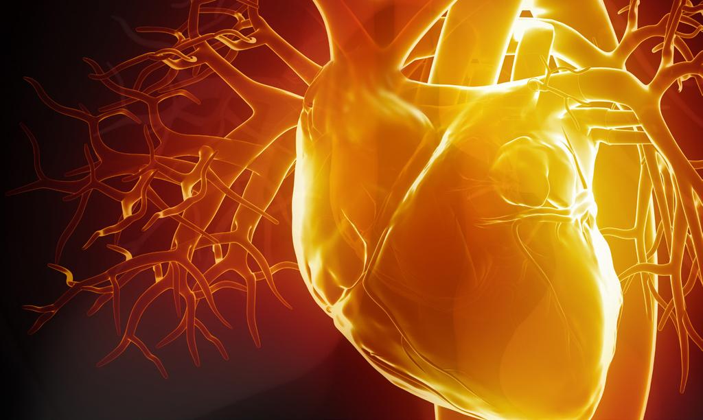 OVERVIEW Over the past decade, the cardiovascular care of patients with cancer has evolved as a subspecialty driven by novel therapies that can cure or control patients, allowing many patients to be