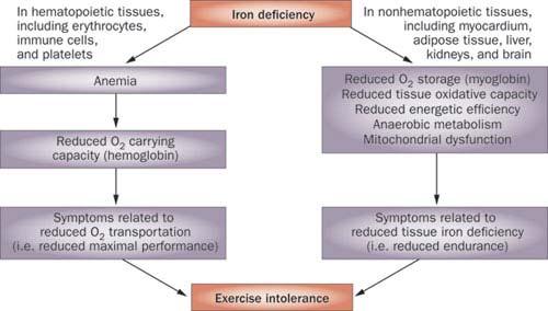Iron Deficiency in Heart Failure van Veldhuisen, D. J. et al. Nat. Rev.