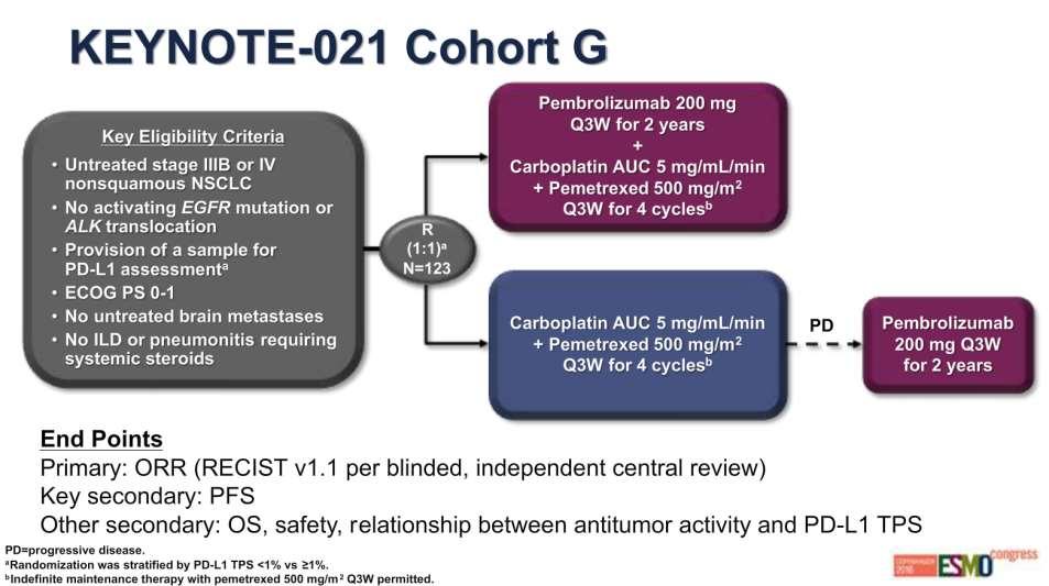 Phase II - Keynote 021 First-line Carboplatin / Pemetrexed