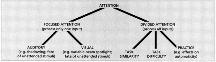 5. ATTENTION AND PERFORMANCE LIMITATIONS 131 FIGURE 5.1 The ways in which different topics in attention are related to each other.