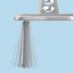fixed-angle locking screw fixation with angular stability in the threaded section, or