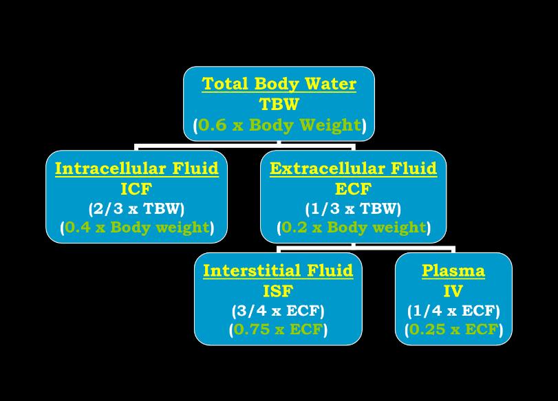 Water (Dysnatremia) & Sodium (Dysvolemia) Disorders Ahmad Raed Tarakji, MD, MSPH, PGCertMedEd, FRCPC, FACP, FASN, FNKF, FISQua Assistant Professor Nephrology Unit, Department of Medicine