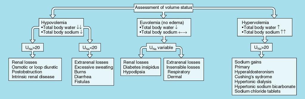 Basal Requirements: Basal Water: o 1 st 10 kg: 4 ml/kg/h + o 2 nd 10 kg: 2 ml/kg/h + o > 20 kg: 1 ml/kg/h Insensible water loss: o Stool, breath, sweat: 800 ml/d o Increases by 100-150 ml/d for each