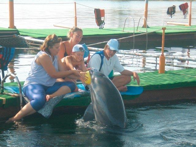 Mänguks oli rõnga ja palli vis kamine delfiinile. Suur 200ki lone loom mängis lastega nagu armas kutsikas, hüppas mängu asjade järele ning pritsis neid tagasi tuues märjaks nii lapse kui ka arsti.