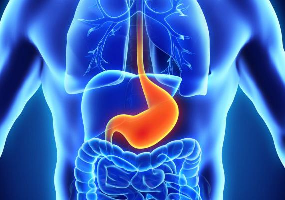 Prominent scientific sessions: Advances in Gastroenterology Paediatric Gastroenterology & Nutrition Colorectal Oncology Gastrointestinal Complications in Pregnancy Gastrointestinal Radiology