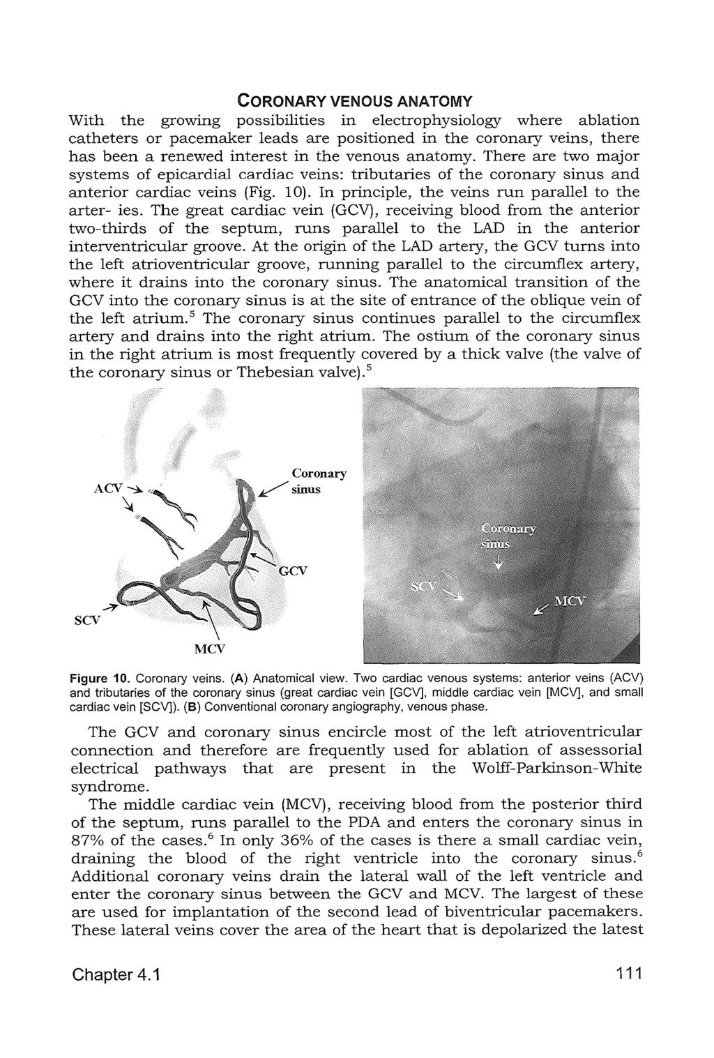 CORONARY VENOUS ANATOMY With the growing possibilities in electrophysiology where ablation catheters or pacemaker leads are positioned in the coronary veins, there has been a renewed interest in the
